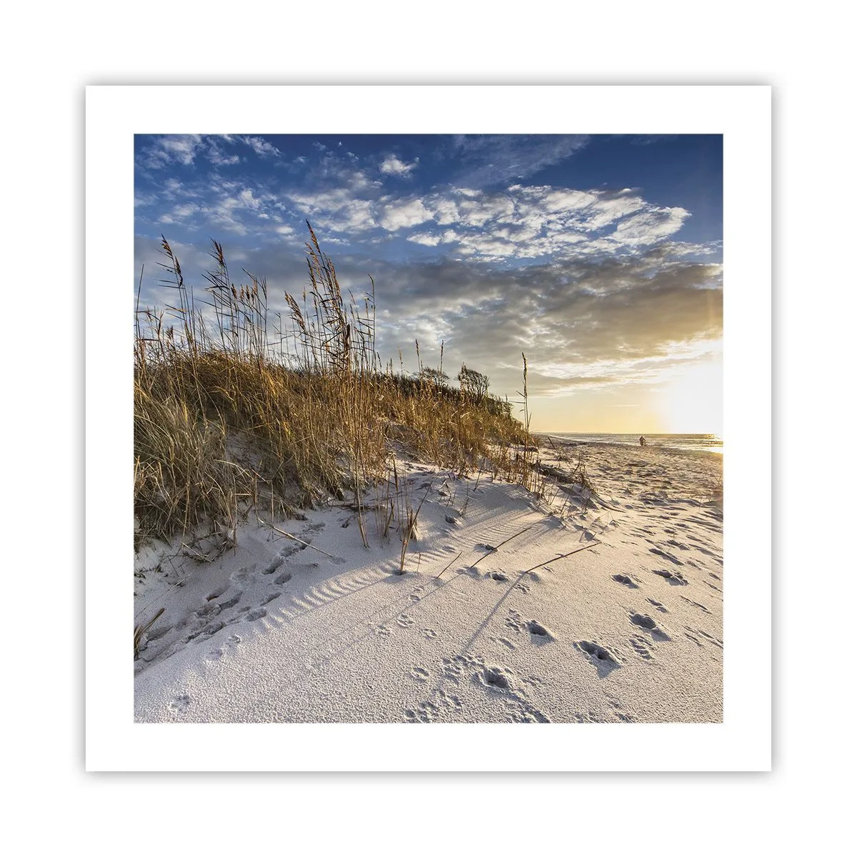 Affisch - Inbjudan till promenad - 50x50 cm