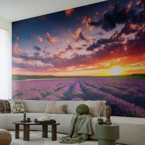 Fototapet Standard Eco - Lavendelfält vid solnedgången - 100x70cm - Lavandelvärld - Modern väggdekoration för vardagsrum och sovrum ARTTOR