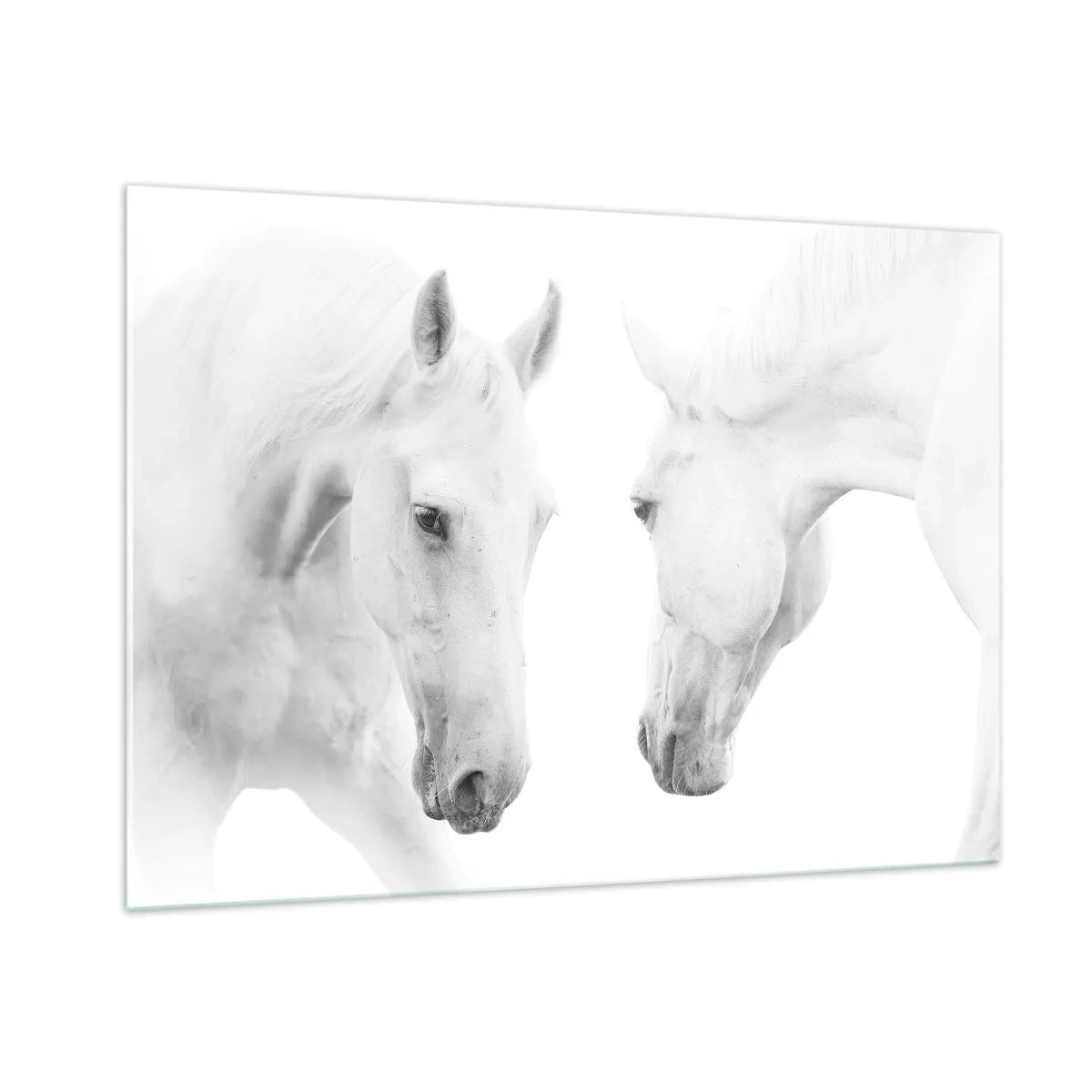 Glastavla - Bild på glas - Är det vänskap…? - 100x70 cm