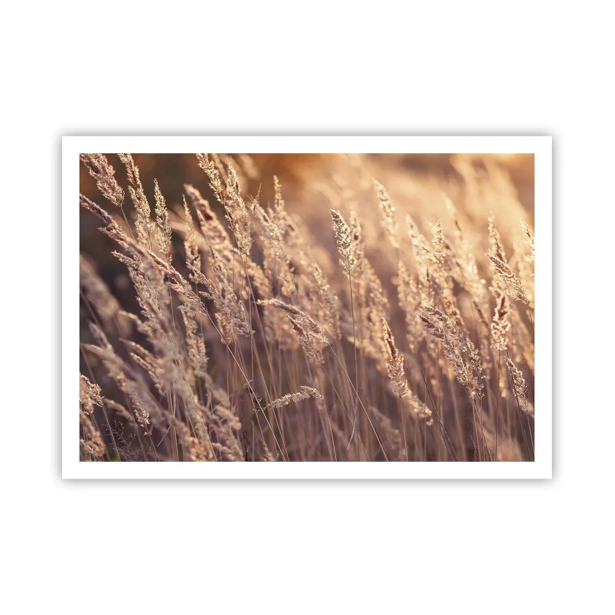 Affisch - Redo att välkomna hösten - 100x70 cm