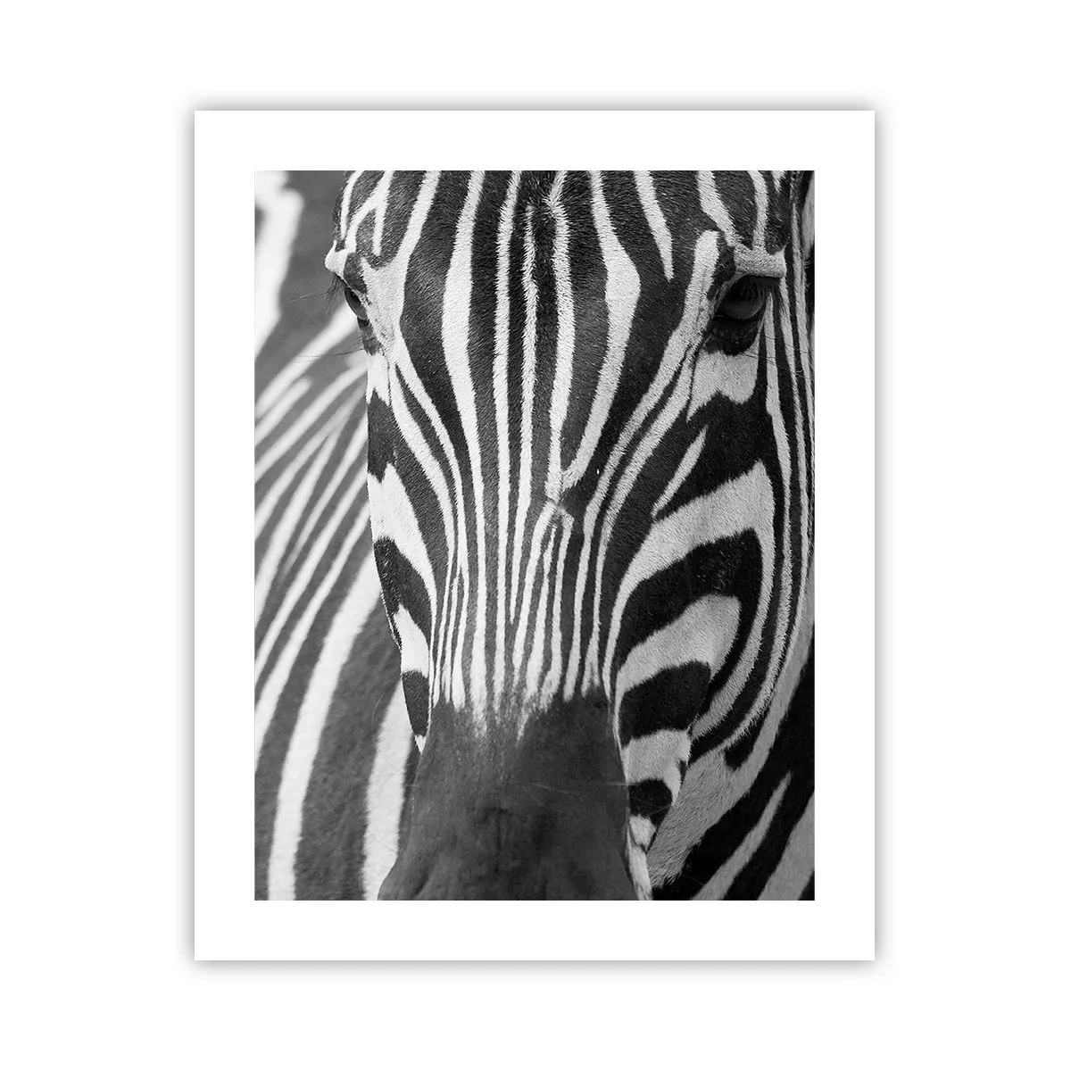 Affisch - Världen är svart-vit - 40x50 cm