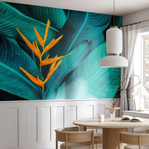 Fototapet Premium Canvas - Edens blomma - Strelitzia Royal, Blomma, Afrika - 100x70 cm