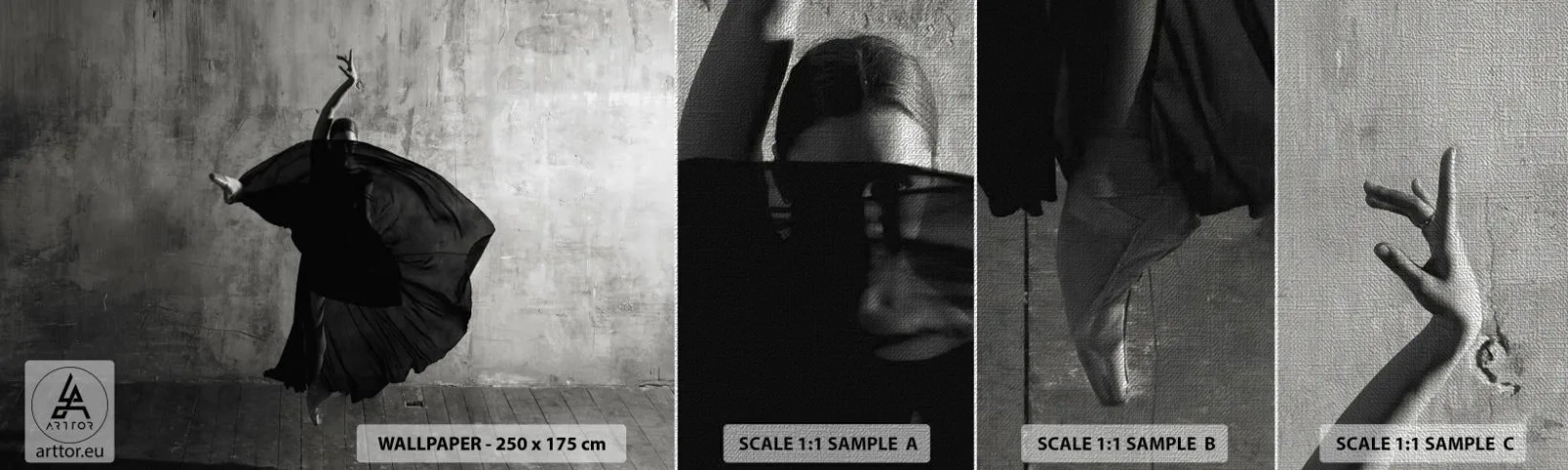 Provbit av fototapet Premium Canvas - Full av passion - Ballerina, Dansa, Balett - 100x30 cm