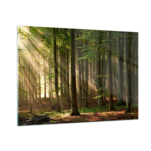 Glastavla - Bild på glas - Utstrålande på en vårmorgon - 100x70 cm