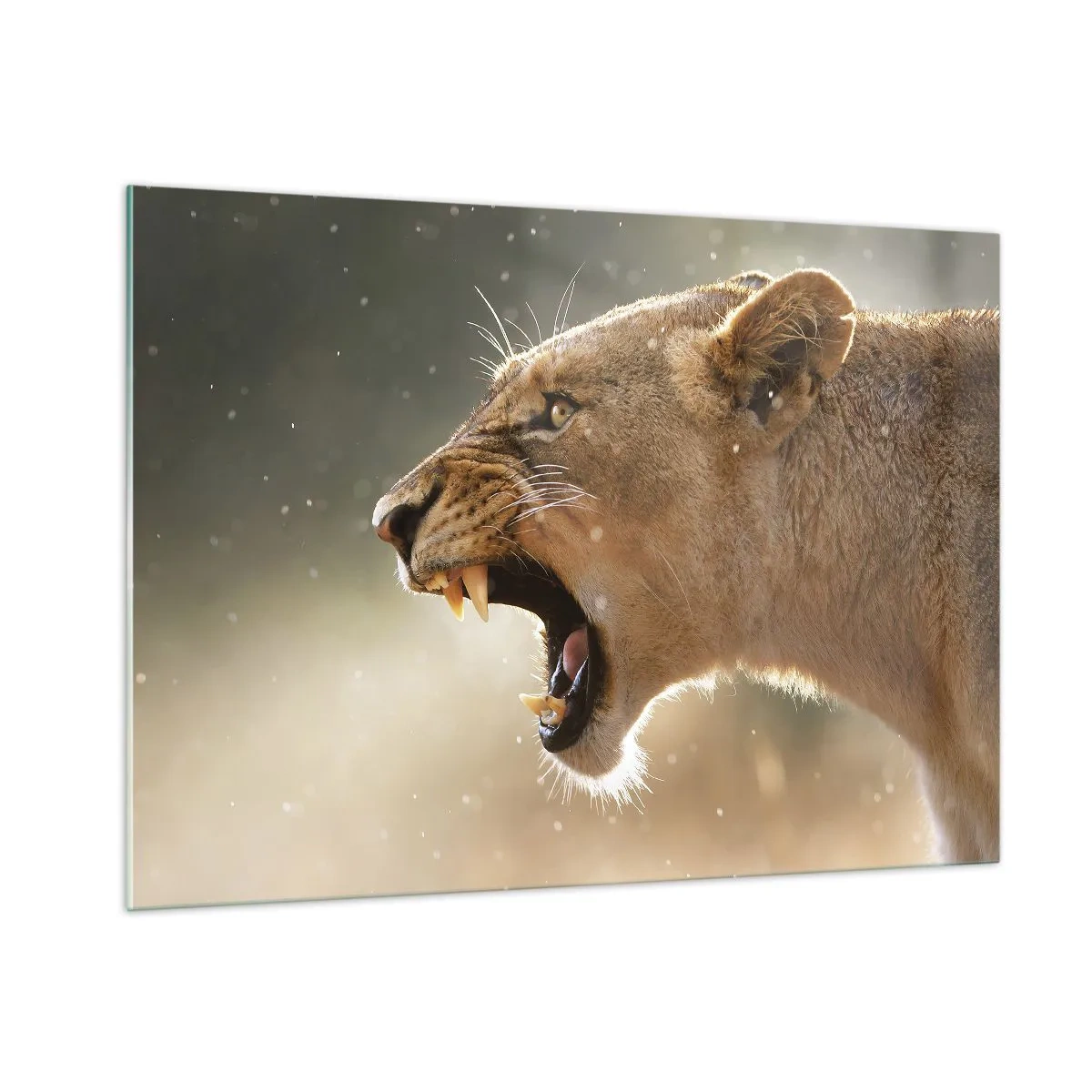 Glastavla - Bild på glas - Försök att inte lyssna - 100x70 cm