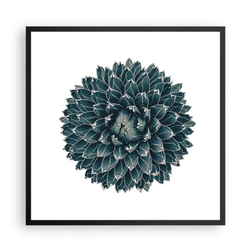 Affisch i svart ram - Öknens stjärna - 60x60 cm