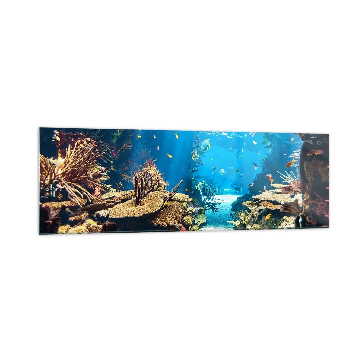 Glastavla - Bild på glas - Du har inte ens drömt - 160x50 cm