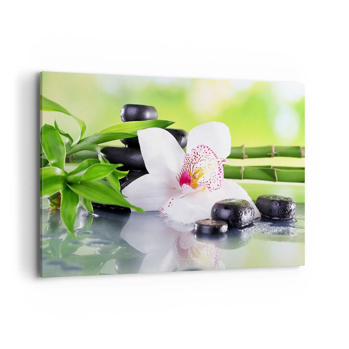 Canvastavla - Bild på duk - Sval fräschhet - 100x70 cm