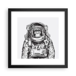 Affisch i svart ram - Alternativ evolution - 30x30 cm