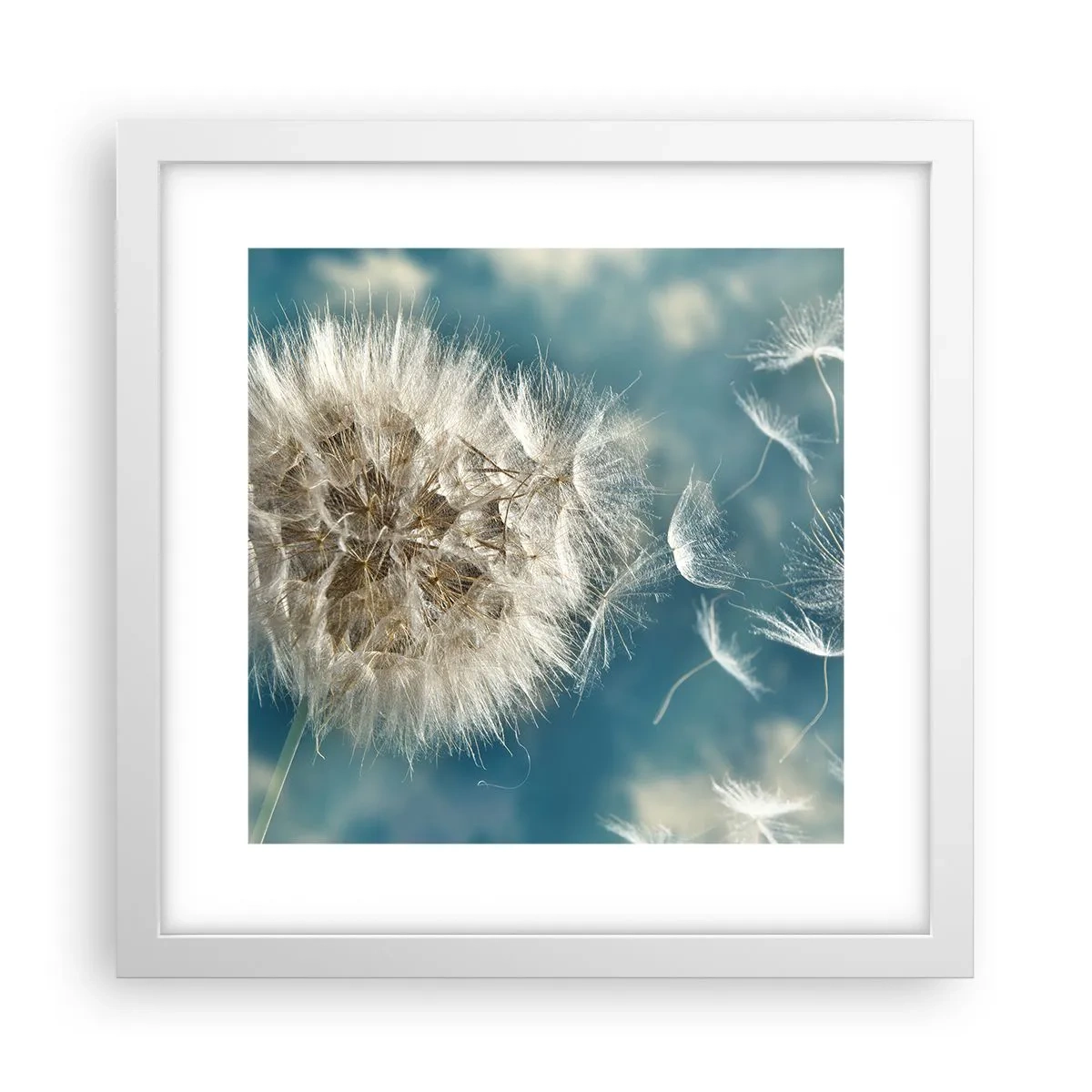 Affisch i vit ram - Ängelns andetag - 30x30 cm