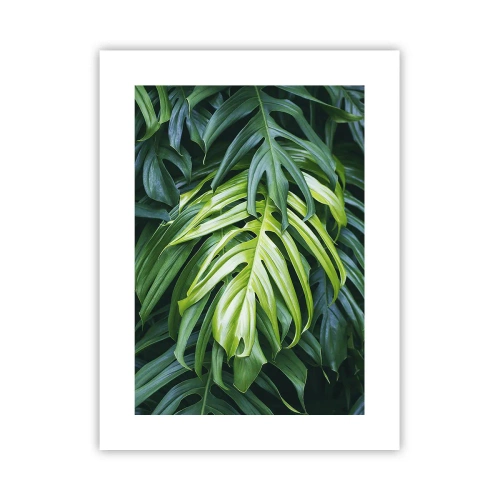 Affisch - Doppa sig i fräschheten - 30x40 cm