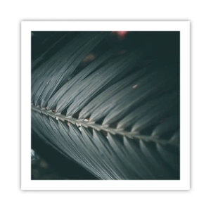 Affisch - Naturens precision - 60x60 cm