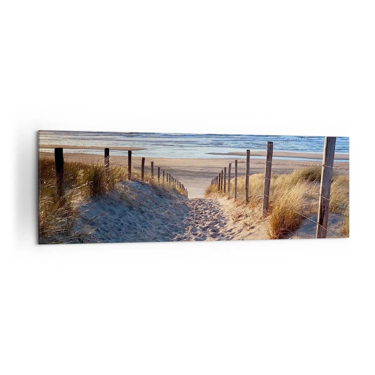 Canvastavla - Bild på duk - Havets brus, fågelsång, tom strand bland träden - 160x50 cm