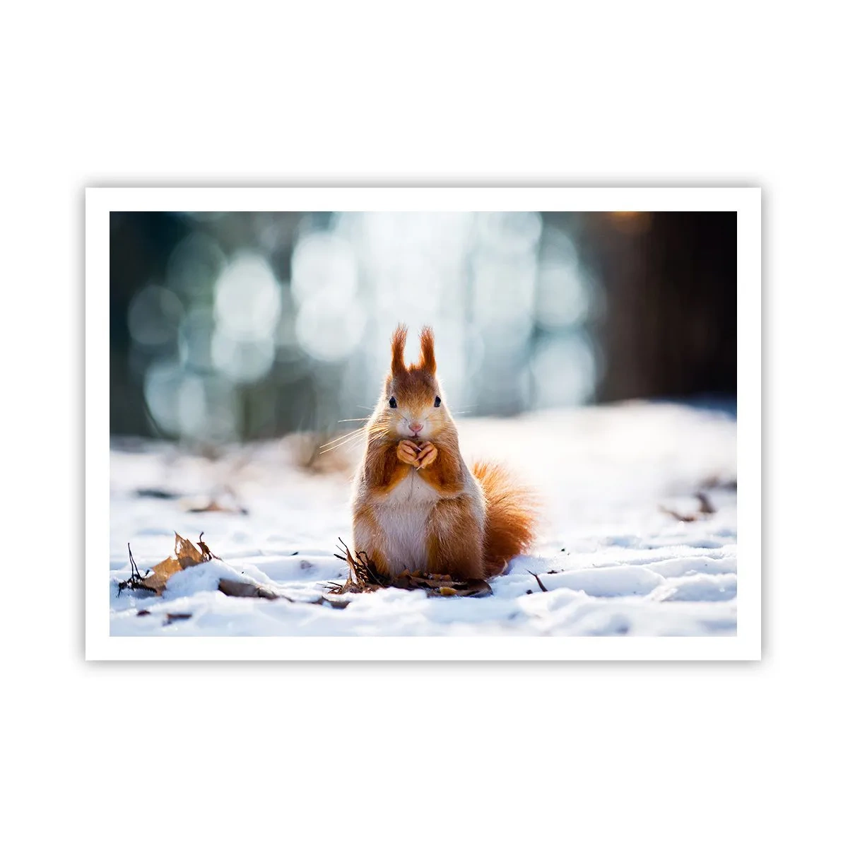 Affisch - Vad glor du på? - 100x70 cm