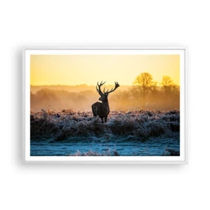 Affisch i vit ram - Krönt på sin mark - 100x70 cm