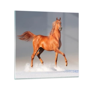 Glastavla - Bild på glas - Dansande grace - 40x40 cm