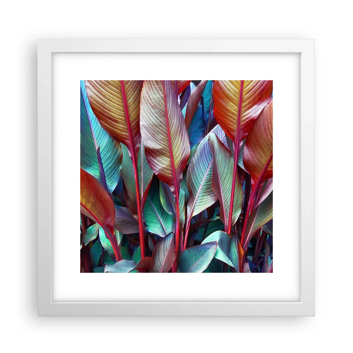 Affisch i vit ram - En färgglad tätskog - 30x30 cm
