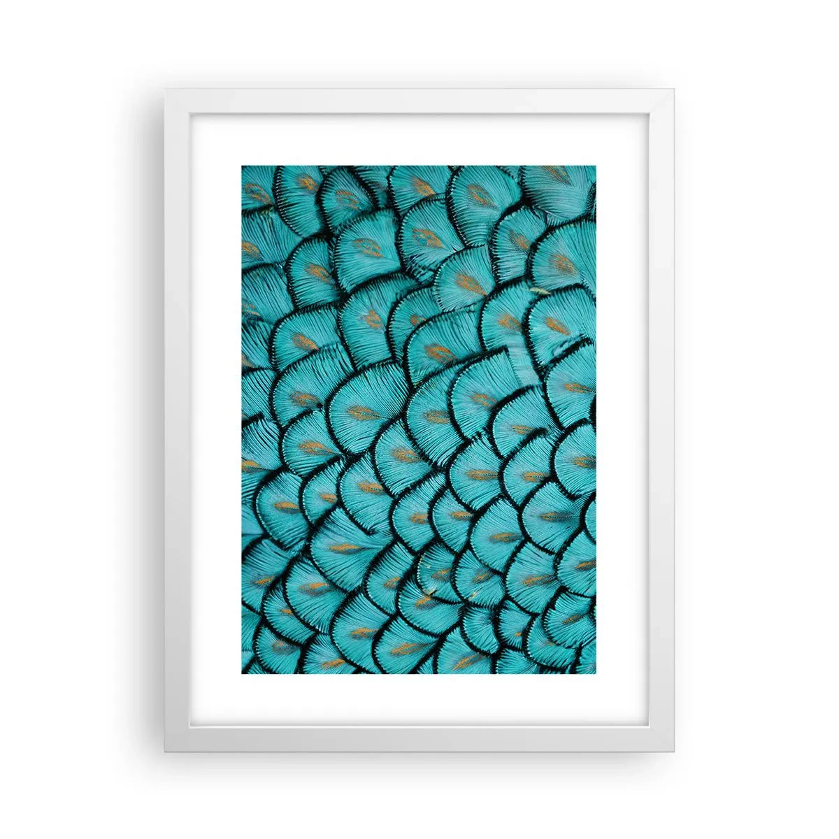 Affisch i vit ram - Den stora fjädergalan - 30x40 cm