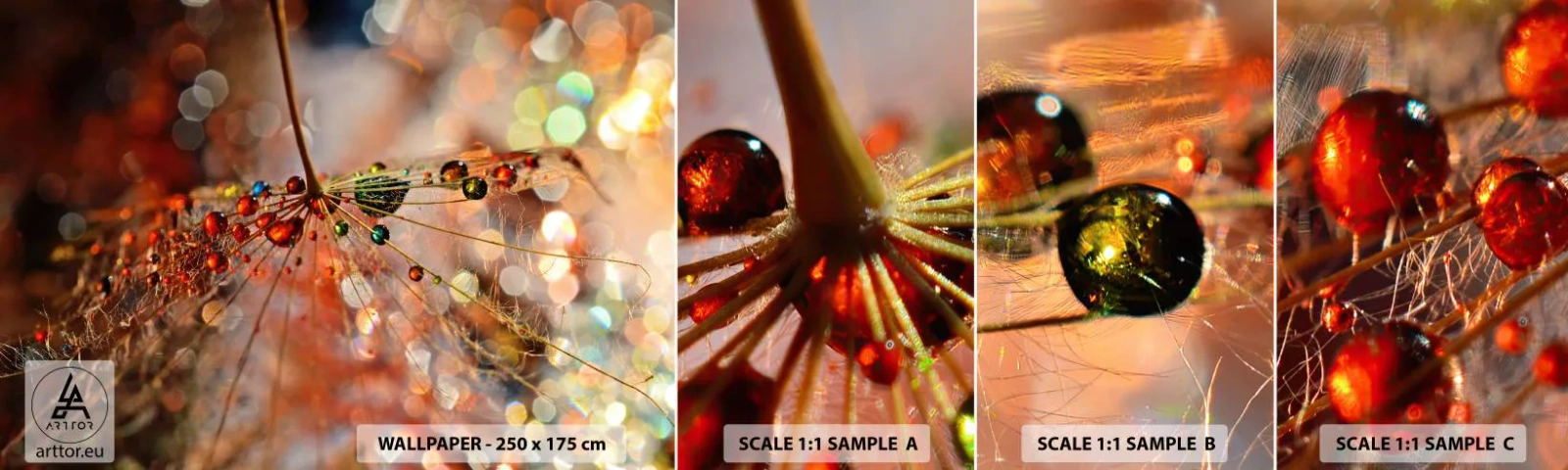 Fototapet Prov Standard Eco - Trädda på spindelnät - Abstraktion, spindelnät, Bit - 100x30 cm