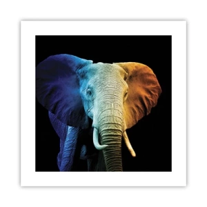 Affisch - Excentriker, ej kuf - 40x40 cm