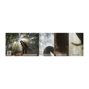 Provbit av fototapet Premium Sand - Under en lycklig stjärna - Landskap, Elefant, Djungel - 100x30 cm