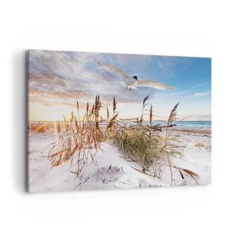 Canvastavla - Bild på duk - Vind från havet - 100x70 cm