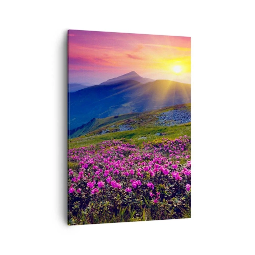 Canvastavla - Bild på duk - … Bergtallen doftar och örterna luktar runt omkring - 50x70 cm