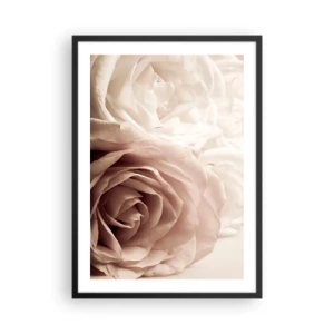 Affisch i svart ram - Delikata krämfärgade rosor närbild - 50x70cm - I hjärtat av en ros - Modern väggdekoration för vardagsrum och sovrum ARTTOR