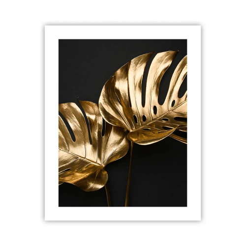 Affisch - Naturens skatter - 40x50 cm