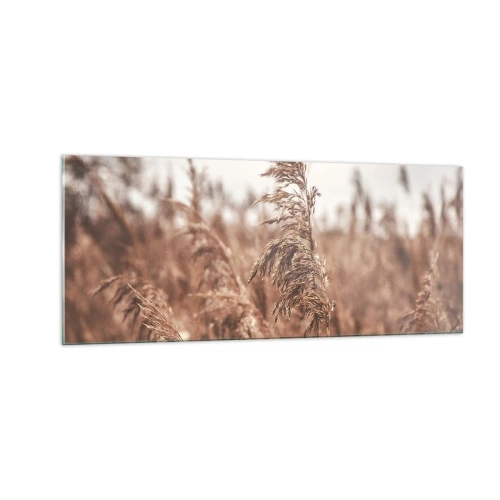 Glastavla - Bild på glas - Hösten är framme på åkrarna - 100x40 cm