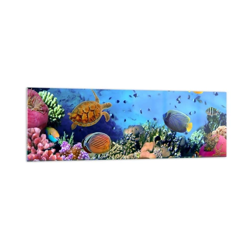 Glastavla - Bild på glas - Vad vet vi om livet... - 160x50 cm