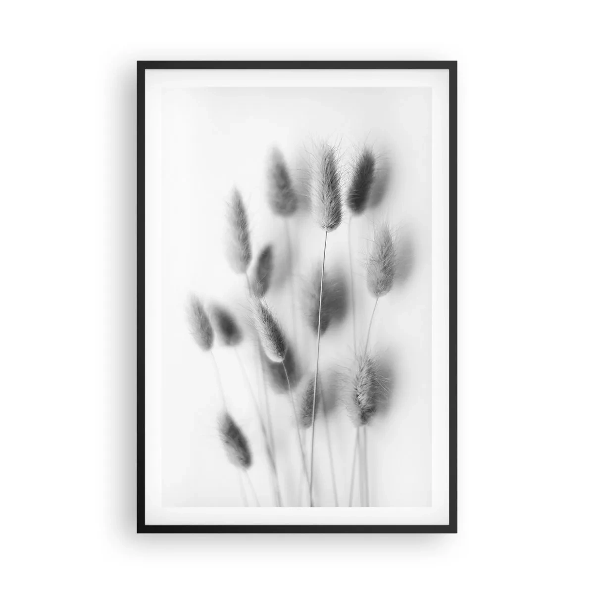 Affisch i svart ram - Fluffigt gräs - 61x91 cm