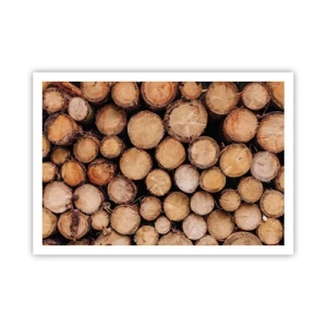 Affisch - Ny början - 100x70 cm