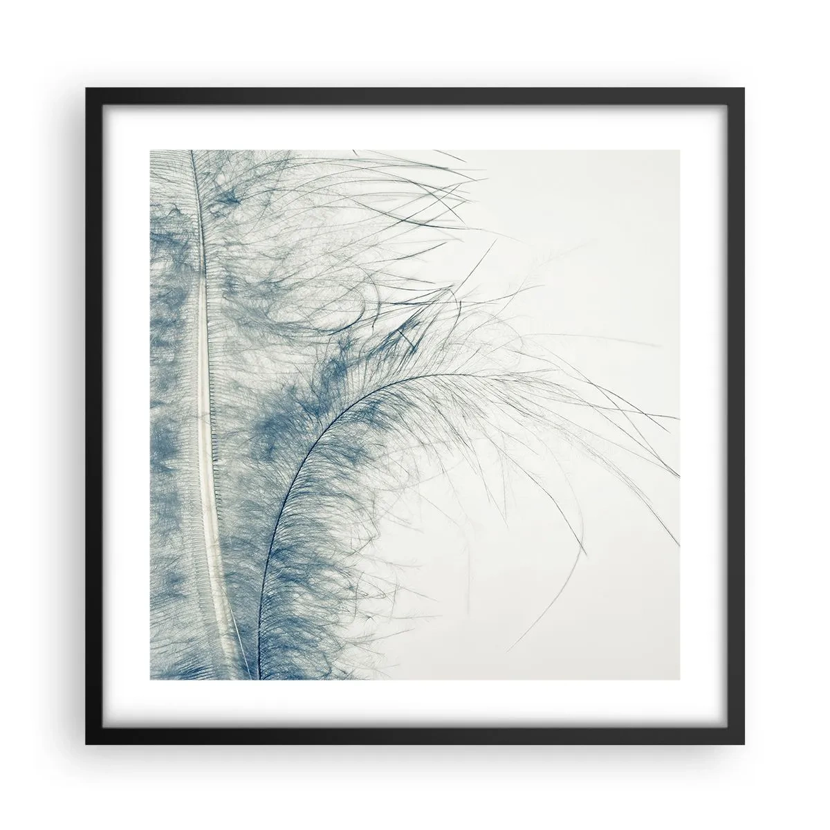 Affisch i svart ram - Naturens viskningar - 50x50 cm
