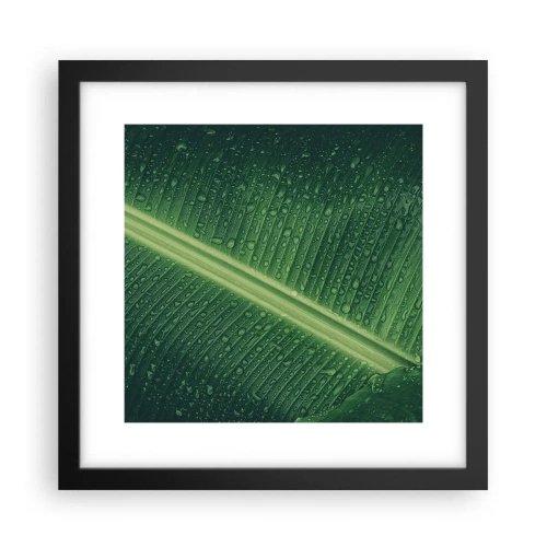Affisch i svart ram - Grönskans struktur - 30x30 cm