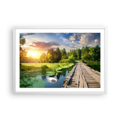 Affisch i vit ram - Sommar, sommar överallt - 70x50 cm
