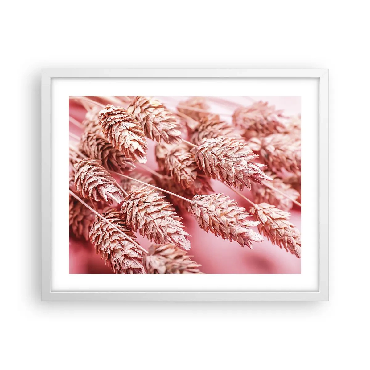 Affisch i vit ram - Blomkaskad i rosa - 50x40 cm