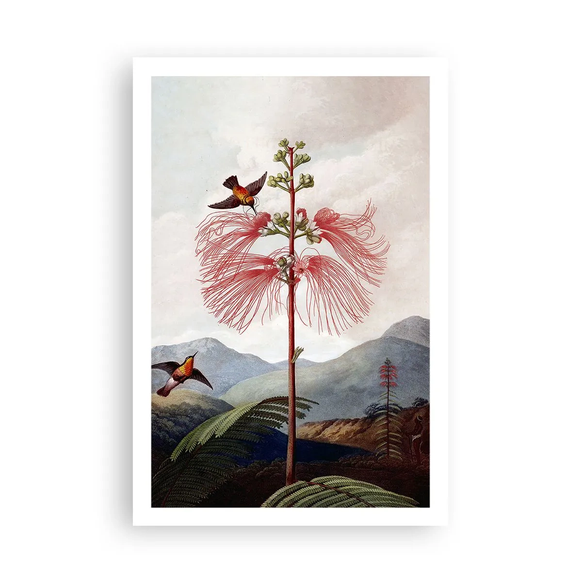 Affisch - I ett tropiskt paradis - 61x91 cm