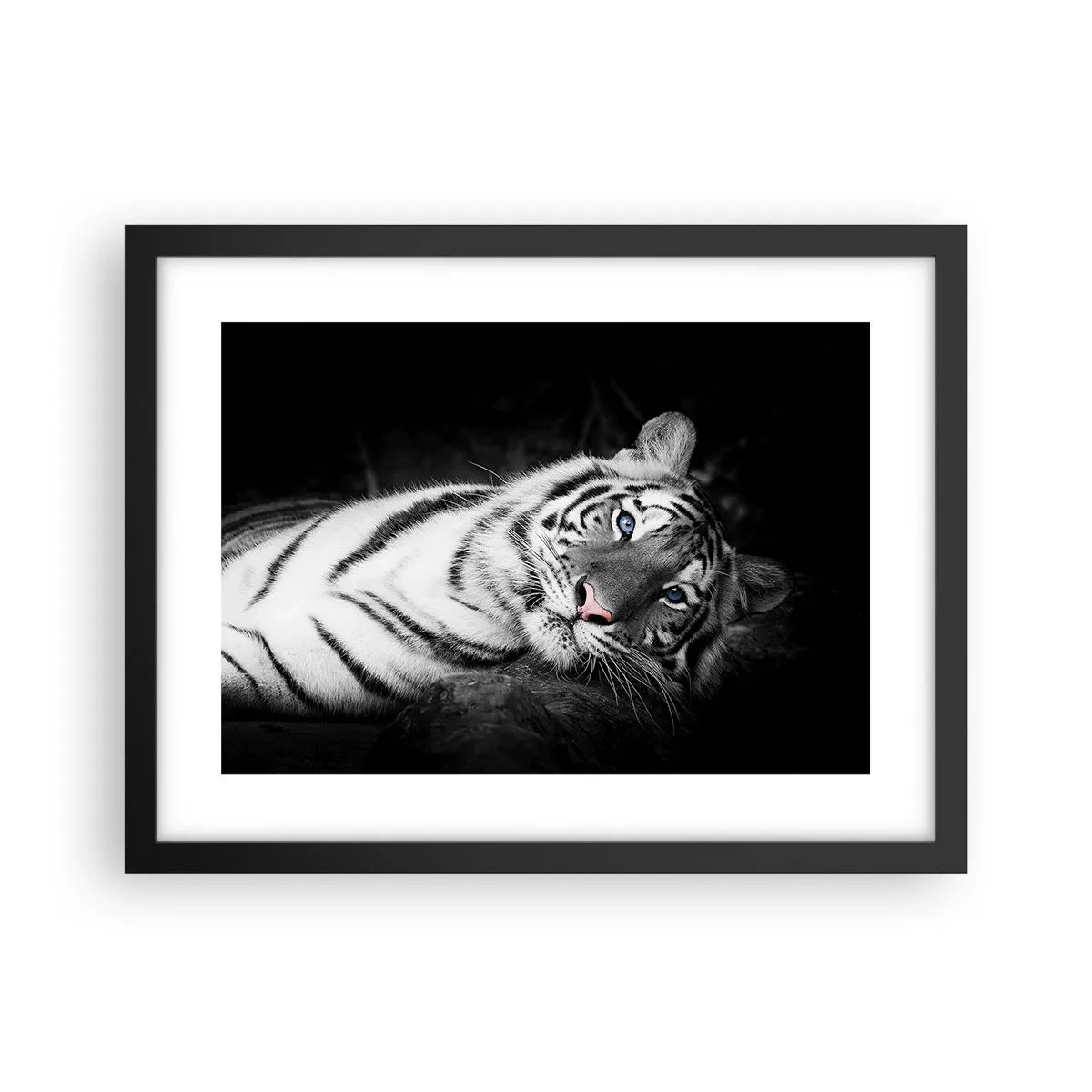 Affisch i svart ram - Vildhet och lugn - 40x30 cm