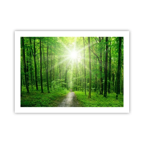 Affisch - Grön domkyrka - 70x50 cm