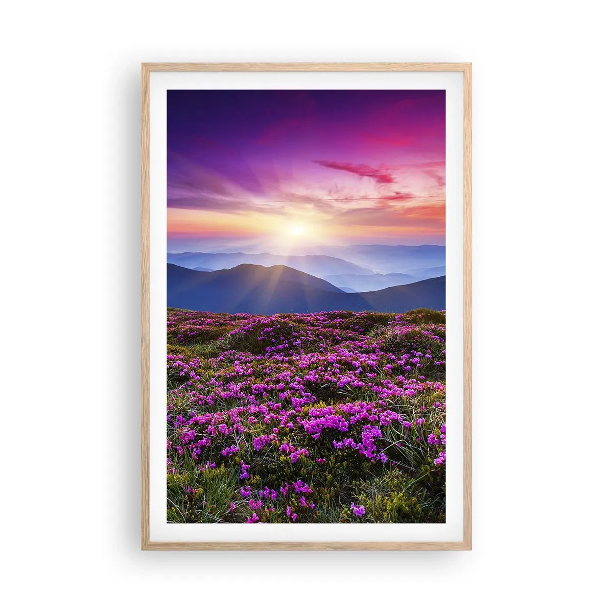 Affisch i ram av ljusek - Doftande örter - 61x91 cm