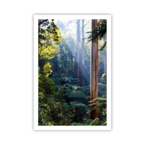 Affisch - Skogens saga - 61x91 cm
