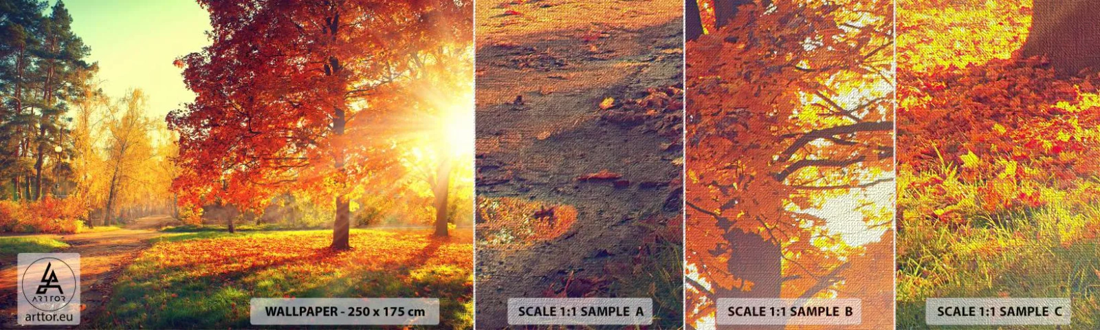 Provbit av fototapet Premium Canvas - Rött är vackert - Landskap, Parkera, Natur - 100x30 cm