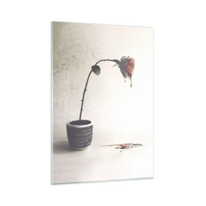 Glastavla - Bild på glas - Rosa dolorosa - 50x70 cm