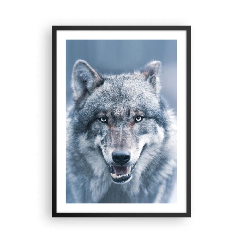 Affisch i svart ram - Porträtt av en varg mot ett vinterlandskap - 50x70cm - Tar du utmaningen? - Modern väggdekoration för vardagsrum och sovrum ARTTOR