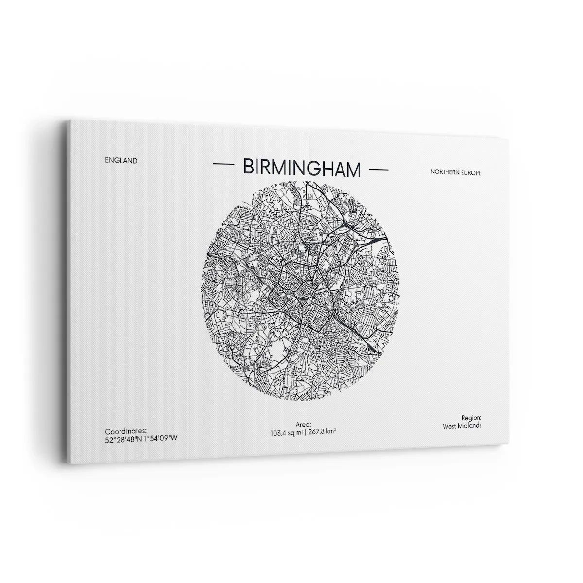 Canvastavla - Bild på duk - Birminghams anatomi - 120x80 cm