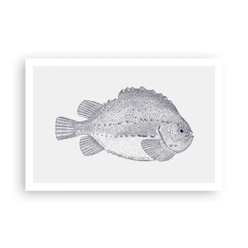 Affisch - Till naturforskarens album - 91x61 cm