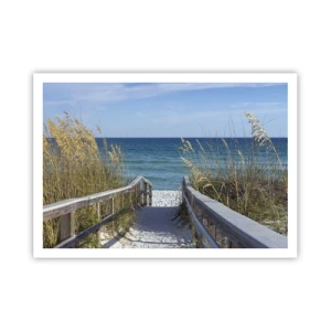 Affisch - I solen, i vinden - 100x70 cm