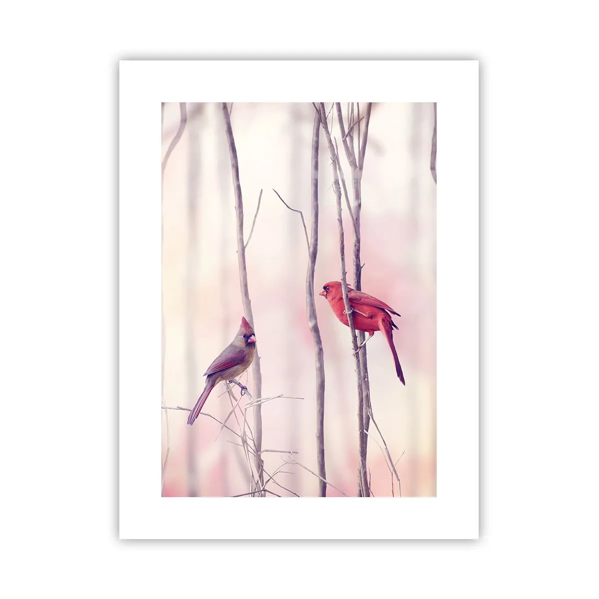 Affisch - Rosa skogens saga - 30x40 cm