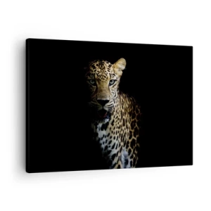 Canvastavla - Bild på duk - En leopard mot en mörk bakgrund med en intensiv blick - 70x50cm - Mörk skönhet - Modern väggdekoration för vardagsrum och sovrum ARTTOR